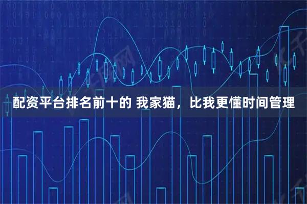 配资平台排名前十的 我家猫，比我更懂时间管理
