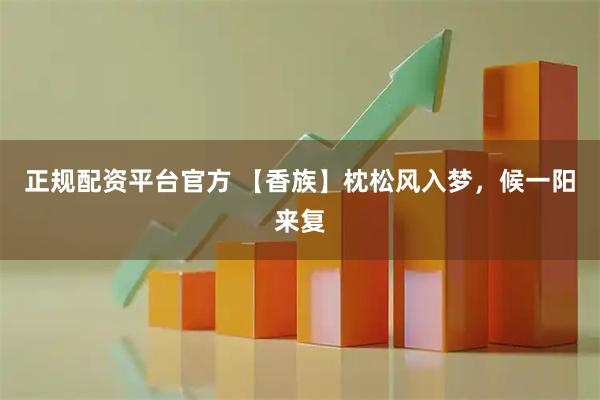 正规配资平台官方 【香族】枕松风入梦，候一阳来复